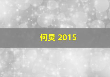 何炅 2015